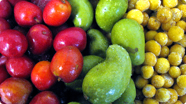 frutas de centro america, productos latinos